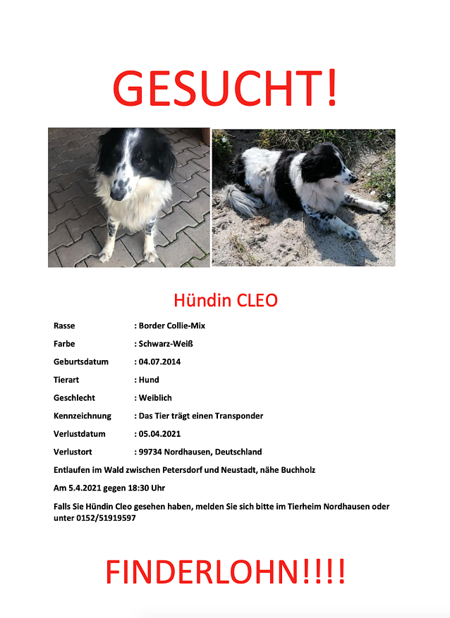Bild: Wer hat Cleo gesehen?
