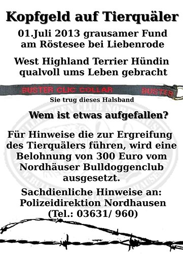 Bild: bdc