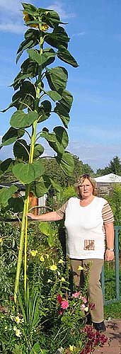 Bild: nnz-Leser-Foto: Rekord?